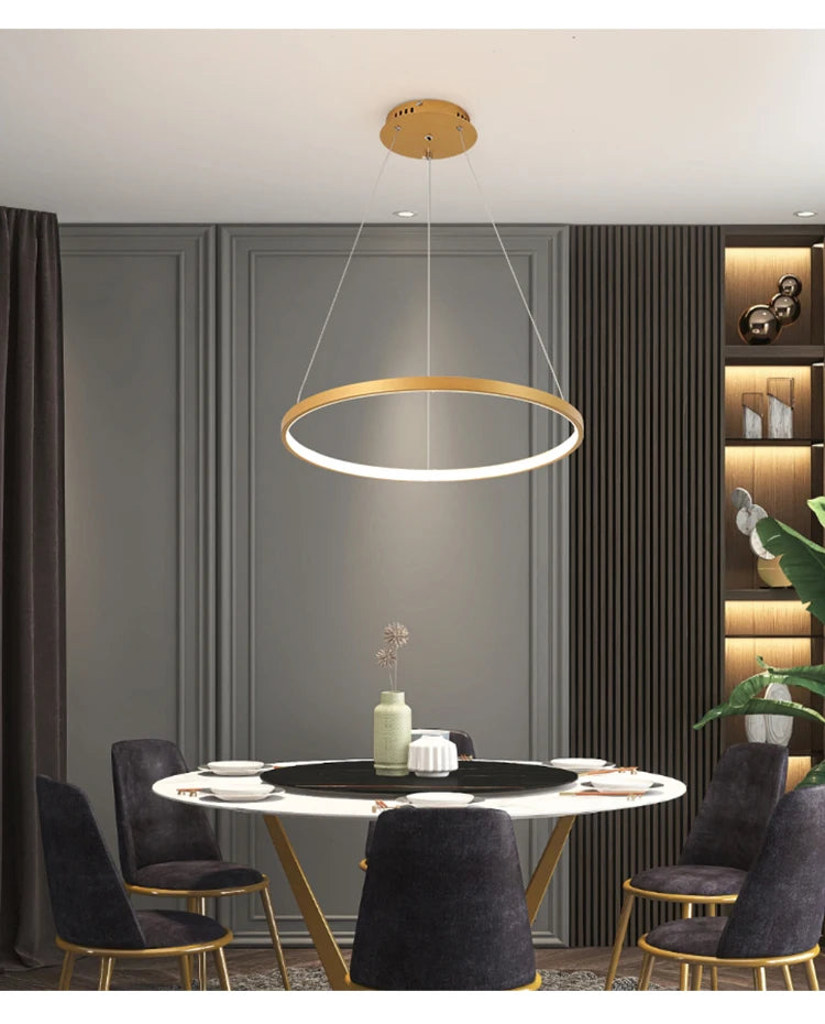 Suspension lignes lumineuses Noda 2 ANNEaux