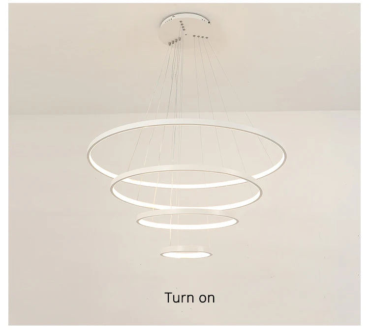 Suspension lignes lumineuses Noda 2 ANNEaux