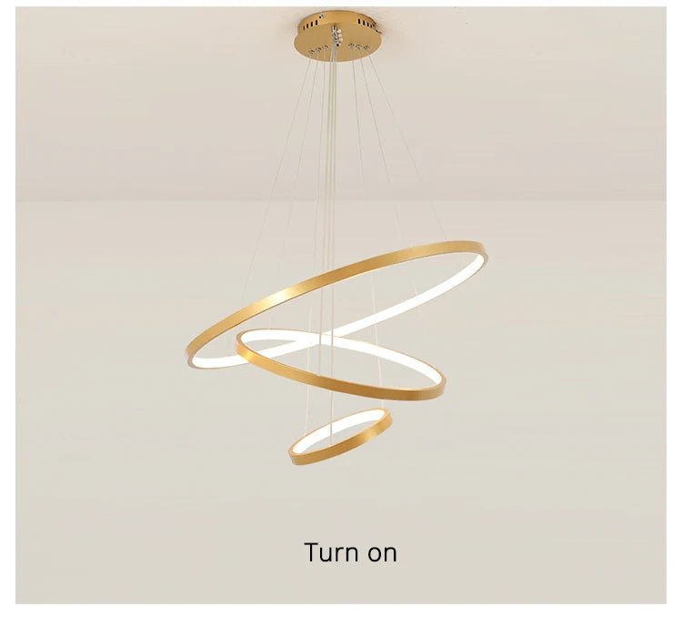 Suspension lignes lumineuses Noda 2 ANNEaux