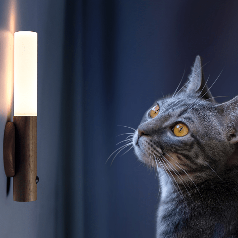 applique murale bois rechargeable