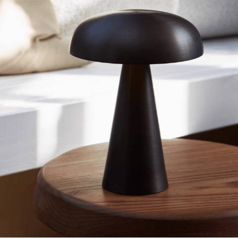 lampe champignon noir