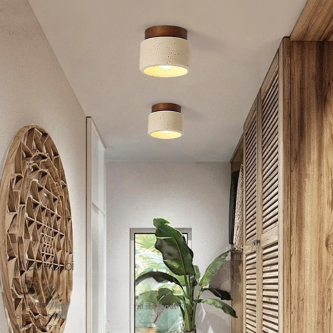 plafonnier spot serie de deux_